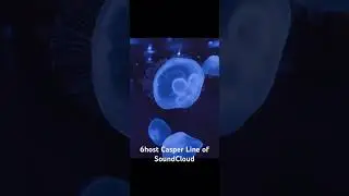 6host Casper lil peep type beat   Song name Line on SoundCloud by 6host Casper