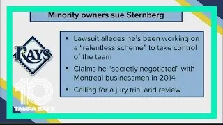 Rays minority owners sue Stuart Sternberg over alleged scheme to 'squeeze' them out