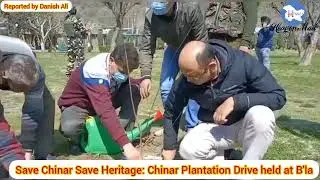 Save Chinar Save Heritage: Chinar Plantation Drive held at B'la