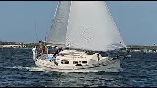 Flicka 20 Sailboat Small Pocket Cruiser on Grevelingen - 5 Bft / 6 kts Amazing sailing day