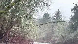 Tualatin River waterfalls in Tigard