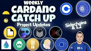 Последние обновления Cardano | Новости проекта L2s | Аирдроп