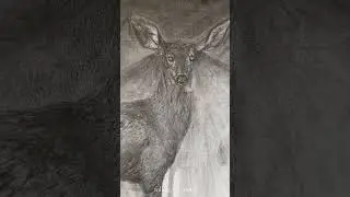 oh deer #deer #art #artist #drawing #charcoal #cool #horror