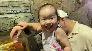 Ташкент 2 күн. Завтрак.Океанариум, Tashkent city, Seoul mun 😍