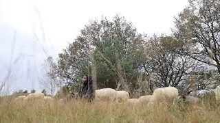 Een fijne winter en een nog fijner jaar straks.