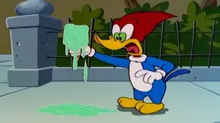 Woody's Melting! | Woody Woodpecker