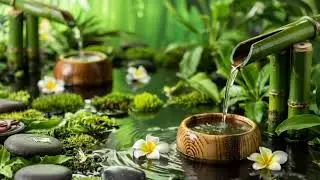 Soothing music for the nerves, healing music for the heart and blood vessels, relaxation