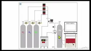 Chemical Equilibrium in the Haber Process Digital Experiment