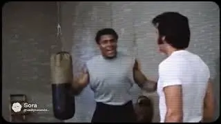 BOXING STARS 🥊