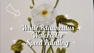 How to Paint a White Flower in Watercolor | Speed Painting White Ranunculus
