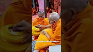HH Mahant Swami Maharaj's Vicharan10 Aug 2025, Anand, India#baps #psm #msm #yt#swaminarayan #shorts