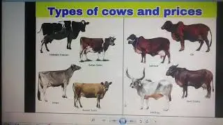 X SCIENCE -Unit- 20- animal breeding