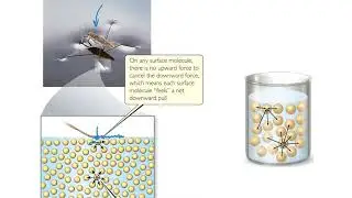 11.3 Select Properties of Liquids