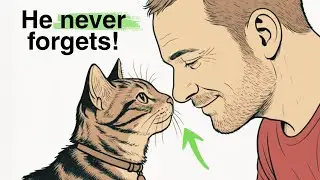 7 жестов, которые скажут вашей кошке: &laquo;Я люблю тебя&raquo;!