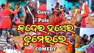 Gaya Pala Comedy | Ladies Gaya Pala Sankarpur Keonjhar | Gaya Pala |