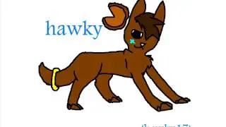 hawkx17