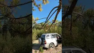 Trip out of town by car on a bad road