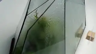 Moss Vaping is a technique to pamper your high end live moss ecosystem designs