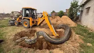 JCB 3dx Eco Machine Loading Mud Tractor's |Mahindra Tractor And NewHolland TractorTrolley