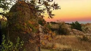 For the Beauty of the Earth - arr. by Beth West