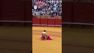 SEVILLA 2025 -7ma de abono | Sebasti&aacute;n Castella recibe a porta gayola al 1ero de la tarde -02/05/25
