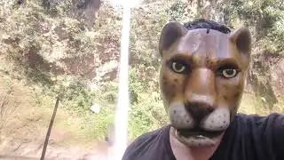 Yaocelotl , VID 20241201 124919