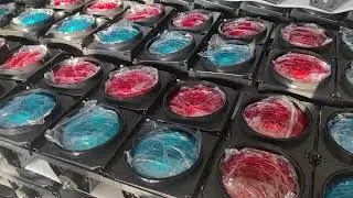 200mm high flux red green traffic signal light
