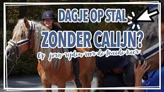 CHAOTISCHE DAG zonder CALIJN + SPRINGEN met HADJA en BANDITO