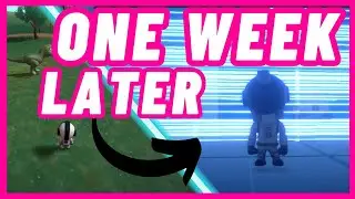 How YOU changed my INDIE GAME in ONE WEEK
