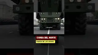 Corea del Norte. Fuerza de las armas