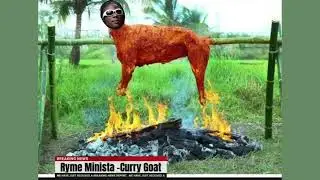 Ryme Minista - Curry Goat [Masicka Diss] [WYFL Riddim] (Official Audio)
