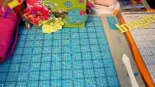 My 3-Ring Binder Mini.AVI