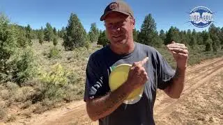 When Should an Amateur Move Up a Division in Disc Golf