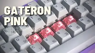 Gateron Pink | Akko x Gateron Collab Switch | Overview and Sound Test