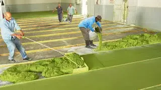 Primitive Technique They Use to Produce Millions of Olive Soap Bars