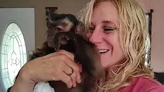 Gunner Boeh The Laughing Capuchin