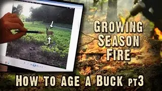 On Fire For Whitetails! Plus: Pt. 3 of  Hunting Decisions Made Easy (#245) @GrowingDeer.tv
