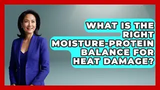 What Is The Right Moisture-protein Balance For Heat Damage? - Ultimate Hair Care Guide