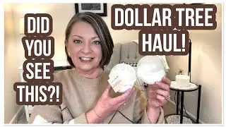 DOLLAR TREE HAUL | DID YOU SEE THIS? | FANTASTIC NEW FINDS | THE DT NEVER DISAPPOINTS 😁