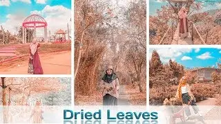 LIGHTROOM CC TUTORIAL || Dried Leaves Filter || Tutorial Ala Selebrgram