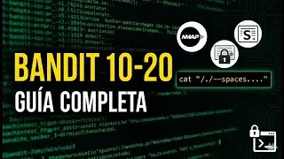 Domina la Terminal de Linux: OverTheWire Bandit (Niveles 10 al 20)