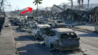 The Most Mysterious Fire - Maui, Hawaii 2023