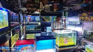 Unboxing Fish | Exotic Aquarium fish | Unboxing Expensive Aquarium fish | Ahmedabad Aquarium shop |