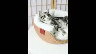 Four Seasons Pet Bed Hand Made Paper Rope Round Cat Cozy Nest