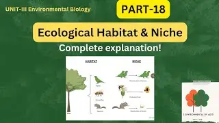 Ecological habitat and Niche | Environmental Science