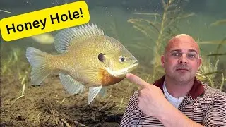 Top Secret Neighborhood Fishing Lake