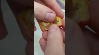 How to Peel Clivia Berries the Right Way (Revealing Seeds Tutorial)