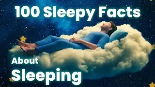 What Really Happens When You Sleep