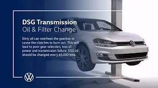 DSG Transmission Oil & Filter Service