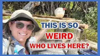 Strange Abandoned Camp. Scary Wildlife and Secluded Beach - Hiking NZ